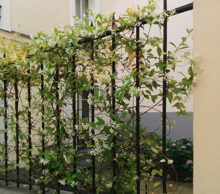 La Cour Du 5Eme - Chambre D'Hotes Paris Eksteriør billede